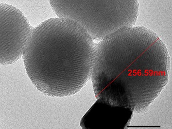 Image MET de silice  nanostructurée