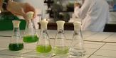 Au sein d'un laboratoire, 5 fioles contenant chacune un liquide vert, de différentes nuances.  Une main saisit l'une d'elles. 