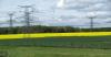 PMS-env-sante_electricité-colza_20130505_SKw_Dim773-400.jpg