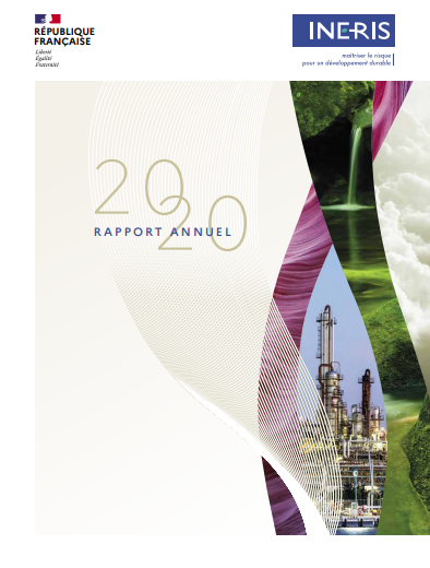 rapport annuel 2020