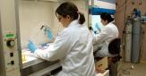 2 femmes réalisent sous hotte des tests en microplaque